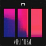 Wyld Renaissance - What You Said (Trst. Extended Remix)