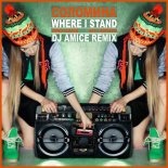 Fabo,Solomina - Where I Stand (Amice Remix)