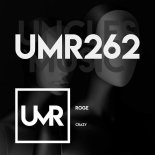 Rogк - Crazy (Original Mix)