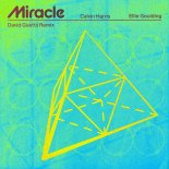 Calvin Harris & Ellie Goulding - Miracle (David Guetta Remix)