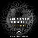 Indie Elephant & Erika Krall - Vitamin (Extended Mix)