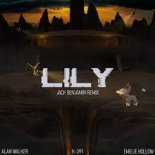 Alan Walker, K-391, Emelie Hollow - Lily (Jack Benjamin remix)