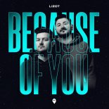 LIZOT - Because Of You