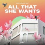 DAZZ X Calvo X Raiko - All That She Wants