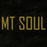 Trevor Daniel - Falling (MT SOUL Remix)