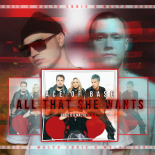 Ace of Base - All That She Wants (Eddie G & Malyx Remix)