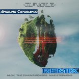 Alok & The Chainsmokers & Mae Stephens - Jungle (Angelino Capobianco Rmx)