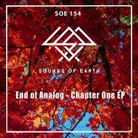 End of Analog - Back Throb (Original Mix)