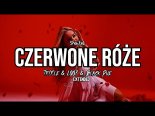 ShanteL - Czerwone Róże (Tr!Fle & LOOP & Black Due Extended REMIX)