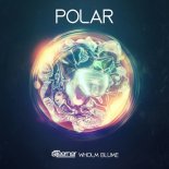 Steerner, Wholm & Blume - Polar