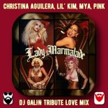 Christina Aguilera, Lil' Kim, Mya, P!nk - Lady Marmalade (DJ GALIN Tribute Love Mix)