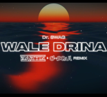 Dr. SWAG - WALE DRINA (BARTIX & D-Paul REMIX) 2024