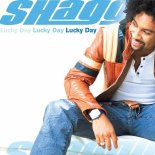 Shaggy - Strength Of A Woman