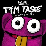 TiM TASTE - What You Like (Original Mix)