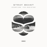 Stray Beast - Overflow (Extended Mix)