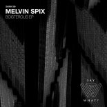 Melvin Spix - Straight To The Point (Original Mix)