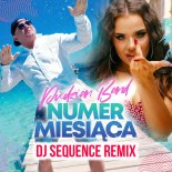 Pudzian Band - Numer Miesiąca (REMIX DJ SEQUENCE)