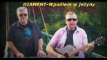 Zespół Diament - Wpadłem w jeżyny