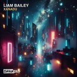 Liam Bailey - Xanadu (Extended Mix)