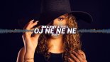 Akcent & THR!LL - Oj ne ne ne 2024 (Extended)