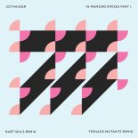 Joyhauser - Wasted (Bart Skils Remix)