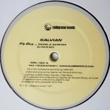 Kalvian - Fly Guy (Sascha Van Holt vs. Van Eyden Mix) [Vinyl Version]