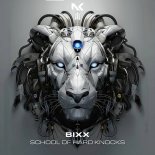 BiXX - School Of Hard Knocks (Extended Mix)