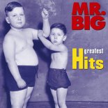 Mr. Big - Wild World