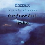 Cyber - A State Of Peace (Greg House Vocal Mashup)