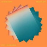 Lost Frequencies - In My Bones (Deluxe Mix)