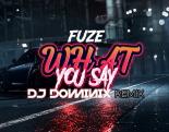 FUZE - What You Say (DJ Dominix Remix) 2024