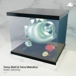 Tomy Wahl & Terra Melodica - Shadows in the Void (Original Mix)