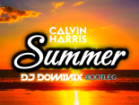 Calvin Harris - Summer (DJ Dominix Bootleg) 2024