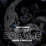 Eurythmics - Sweet Dreams 2k24 (Dawid S Bootleg)