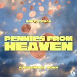 Don Esteban - Pennies From Heaven (Pulsedriver Extended Remix)