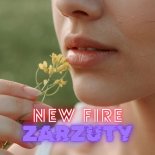 New Fire - Zarzuty (Radio Edit)