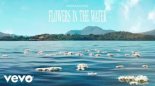 Nathan Evans - Flowers In The Water