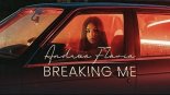 Andreea Flavia - Breaking me