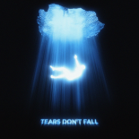 Kaskade, Enisa - Tears Dont Fall (Extended Mix).