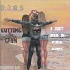 D.J.A.S & Cutting Crew - I Just Died In Your