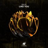 BAUS - Like You (Extended Mix)