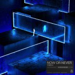 Yves V, Moa Lisa - Now or Never (Club Mix)