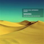 Double Soul Experience feat. Dhany - Missing (Double Soul Rework)