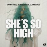 Danny Suko x Pulsedriver x Dj Squared - She´s So High