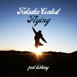 Falaska Contest feat. Dhany - Flying (Radio Edit)