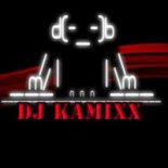 DJ KamixX - Electro & House mix Vol.2 2024