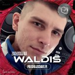 Waldis - My World (Original Mix)