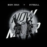 Pitbull feat. Bon Jovi - Now Or Never