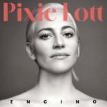 Pixie Lott - Anybody Else