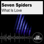 Seven Spiders - What Is Love (Casa di Salvia Club Mix)